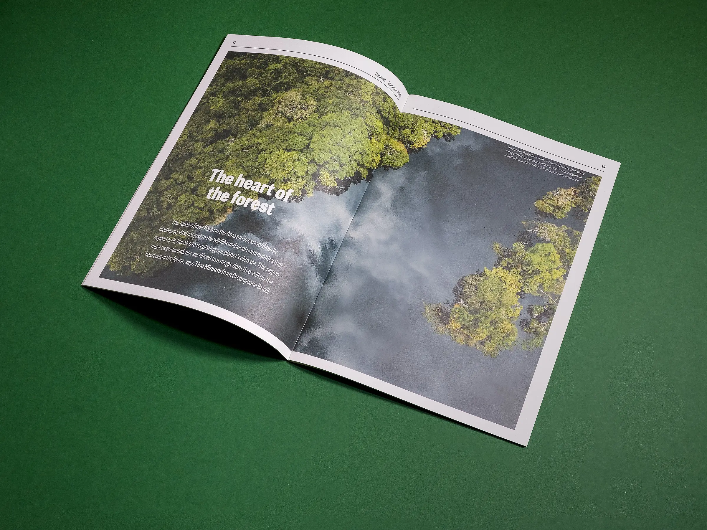 An image of a spread of Connect magazine against a green background. An aerial image of a forest fills both pages, with the text The heart of the forest overlaid in white.