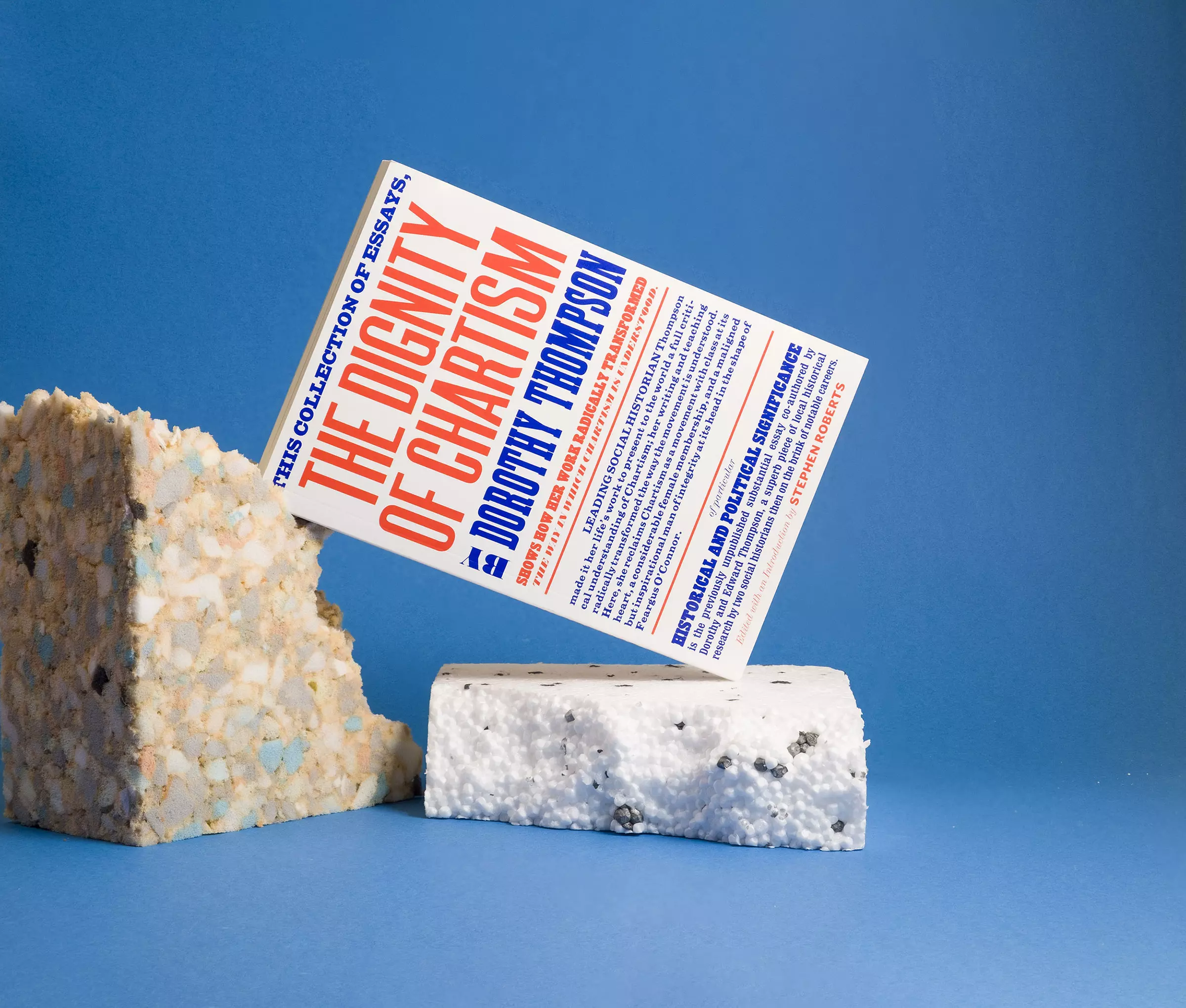 A white, blue and red book cover designed to resemble a Chartist poster, reading 'The Dignity of Chartism'. It stands on a thick piece of polystyrene and leans against a roughly torn piece of packing foam, all photographed against a light blue background.